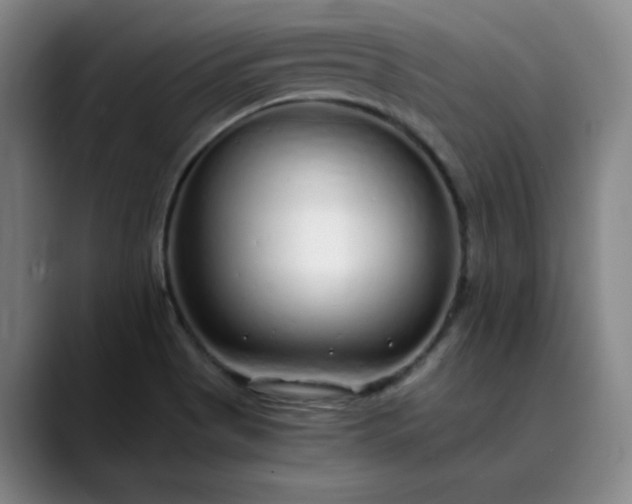 X0000089891513200707121822