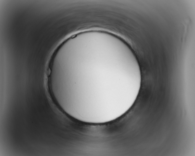 X0000089891518200707121822