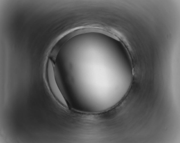 X0000089891520200707121822