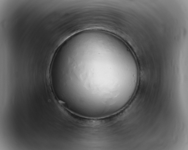 X0000089891521200707121822