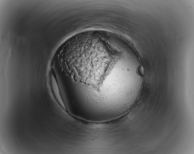 X0000089891522200707121822