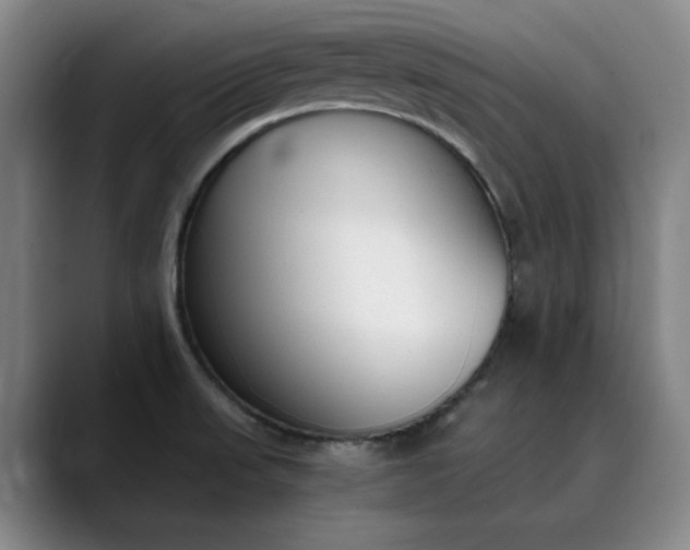 X0000089891523200707121822