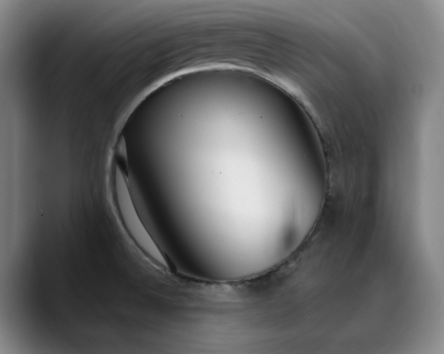 X0000089891524200707121822