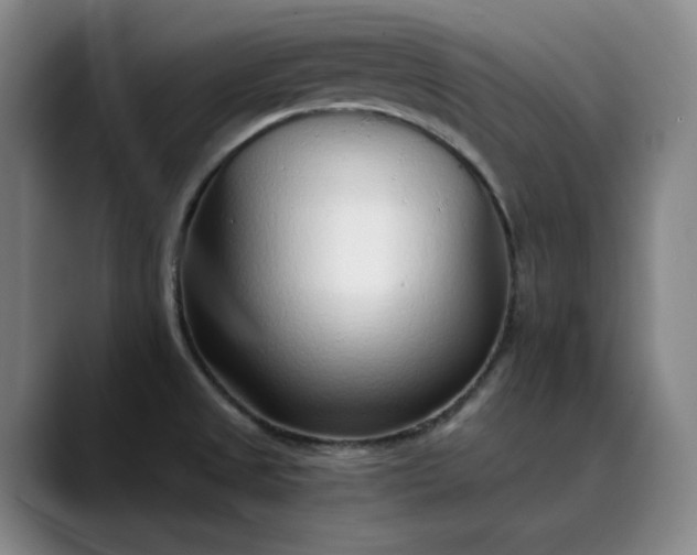 X0000089891525200707121822