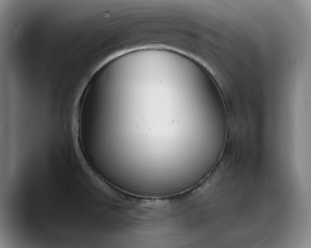 X0000089891526200707121822