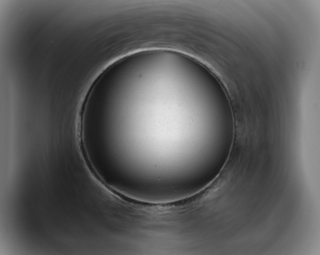 X0000089891527200707121822