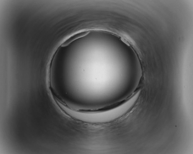 X0000089891528200707121822