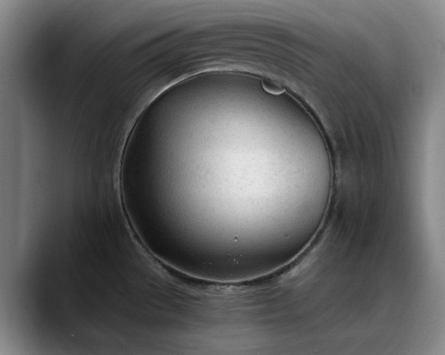 X0000089891529200707121822