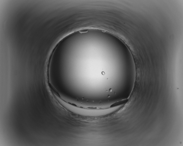 X0000089891530200707121822