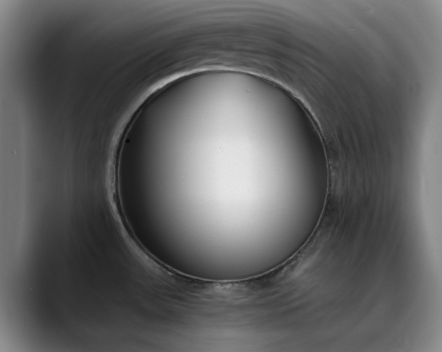 X0000089891531200707121822