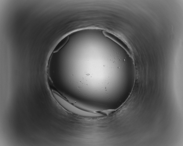 X0000089891532200707121822