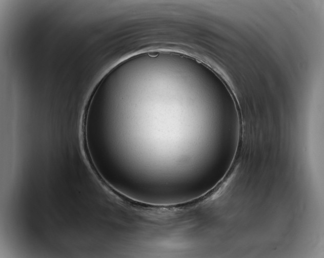 X0000089891533200707121822