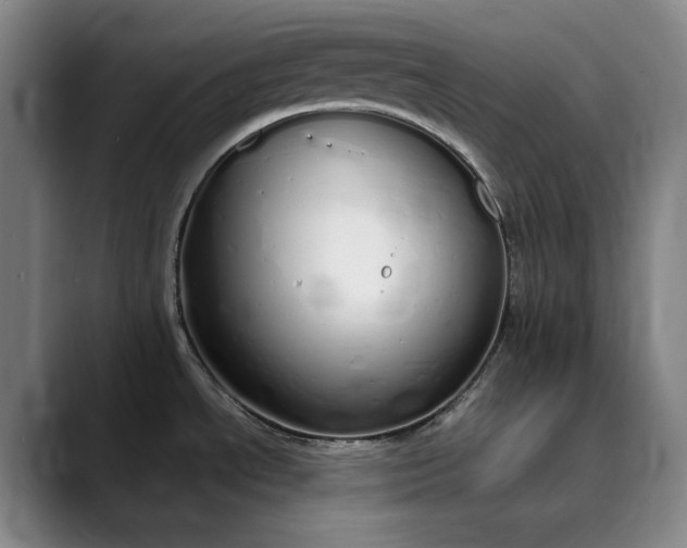 X0000089891534200707121822