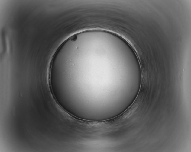 X0000089891535200707121822