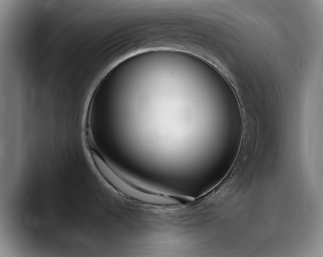 X0000089891536200707121822