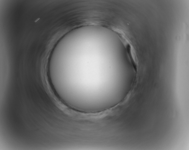 X0000089890001200707192023