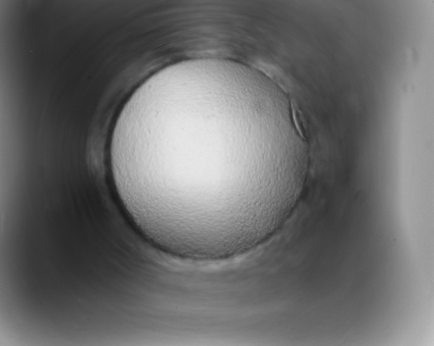 X0000089890002200707192023