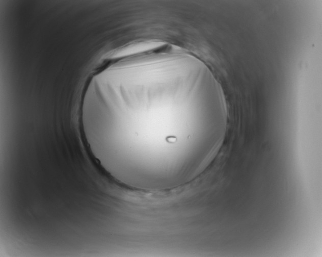 X0000089890003200707192023