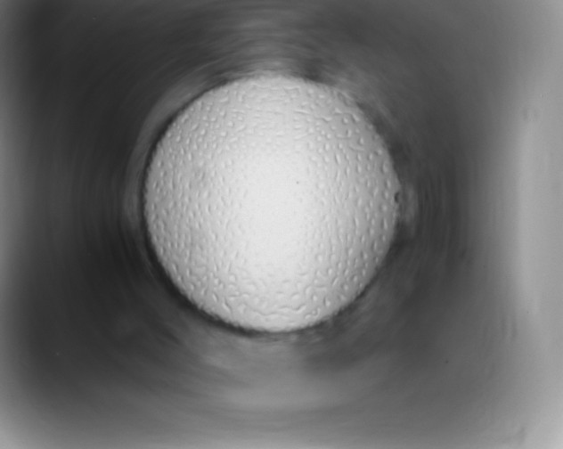 X0000089890004200707192023