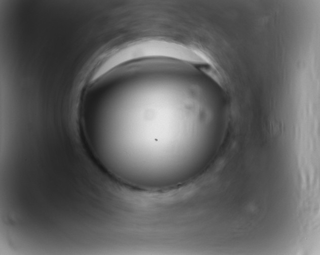 X0000089890007200707192022