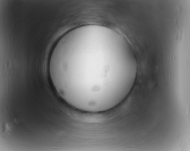 X0000089890008200707192022