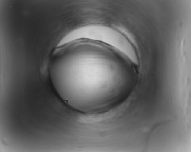 X0000089890009200707192022