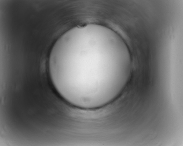 X0000089890010200707192022