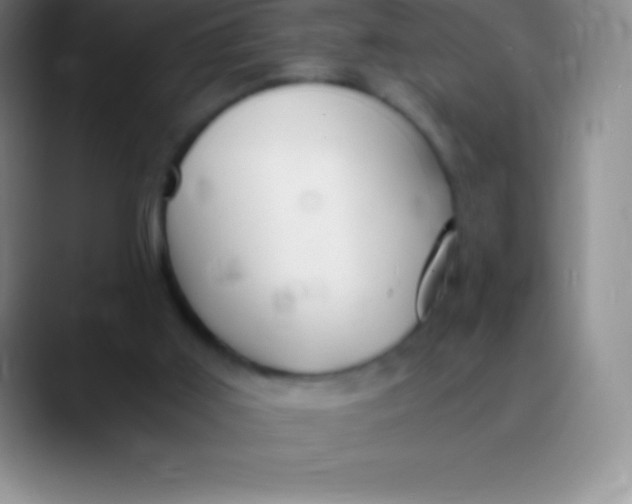 X0000089890011200707192022