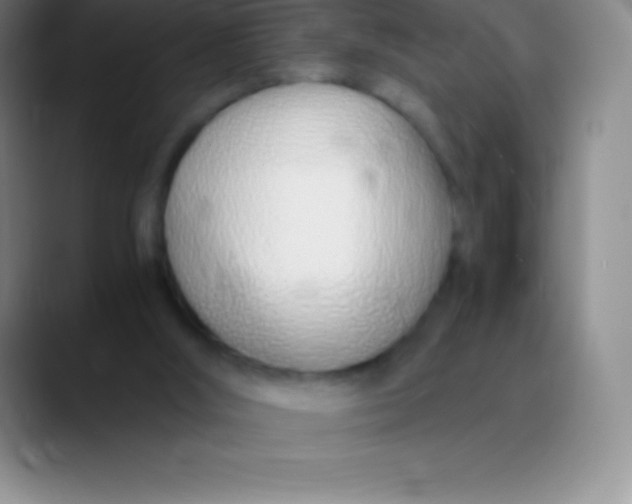 X0000089890012200707192022