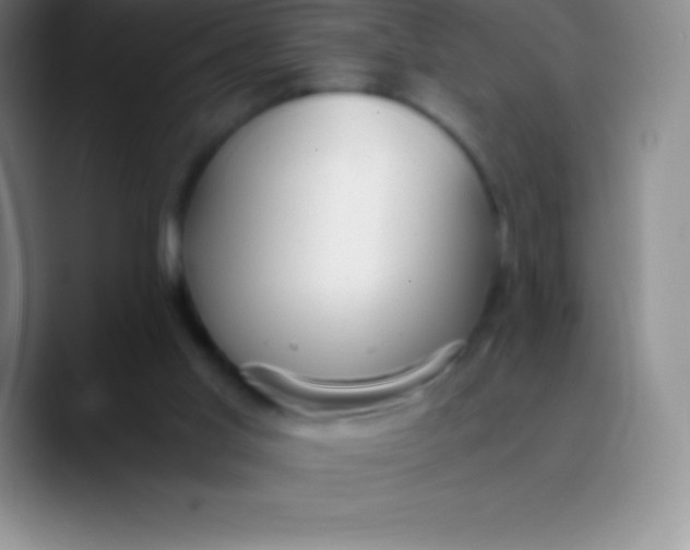 X0000089890013200707192022