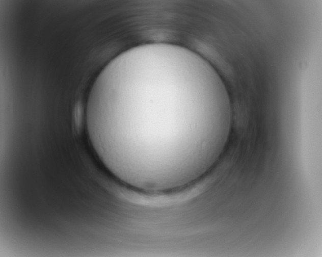 X0000089890014200707192022