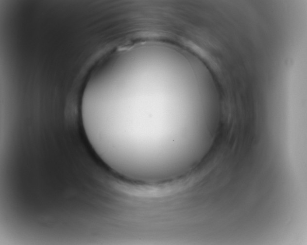 X0000089890015200707192022