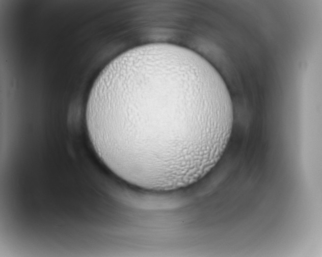 X0000089890016200707192022