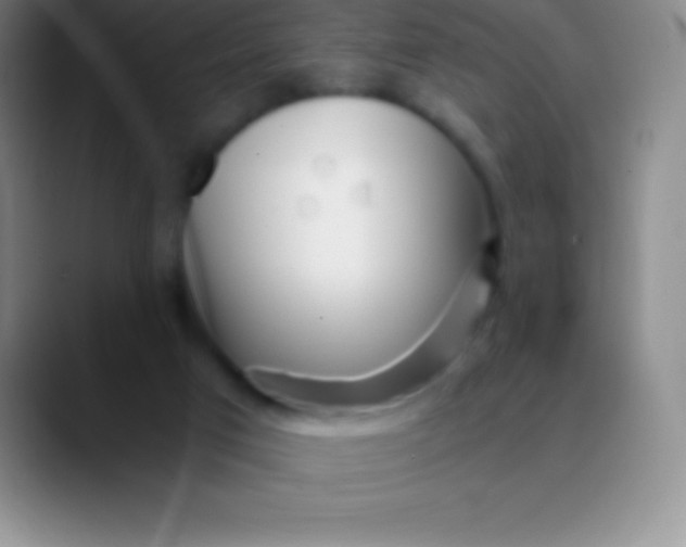 X0000089890017200707192022