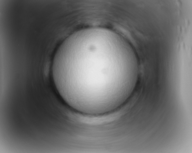 X0000089890018200707192022