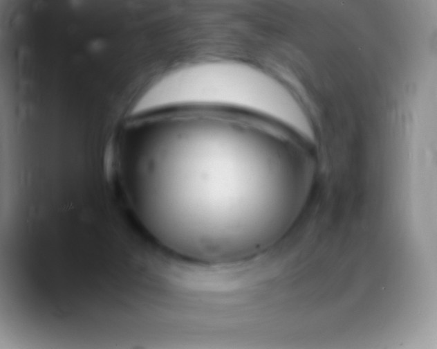 X0000089890019200707192022