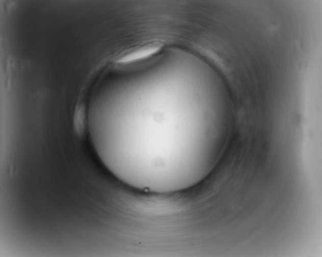 X0000089890020200707192022