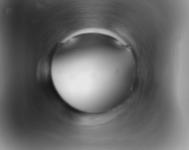 X0000089890021200707192022