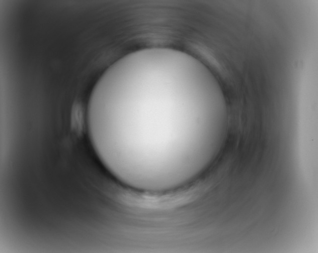 X0000089890022200707192022