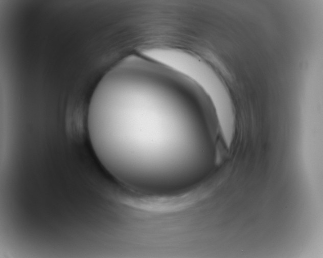 X0000089890023200707192022