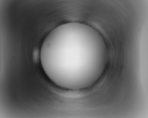 X0000089890024200707192022