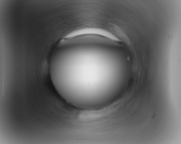 X0000089890025200707192022