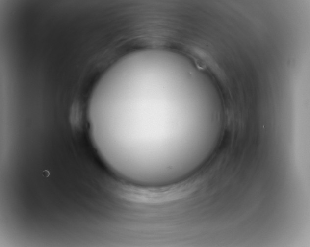 X0000089890026200707192022