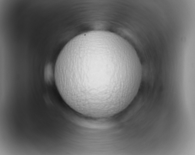 X0000089890028200707192022