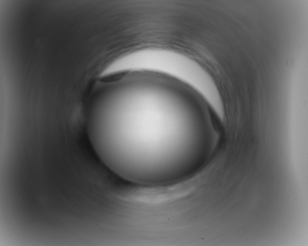 X0000089890029200707192022