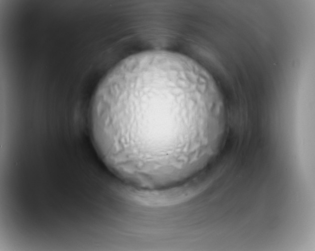 X0000089890030200707192022