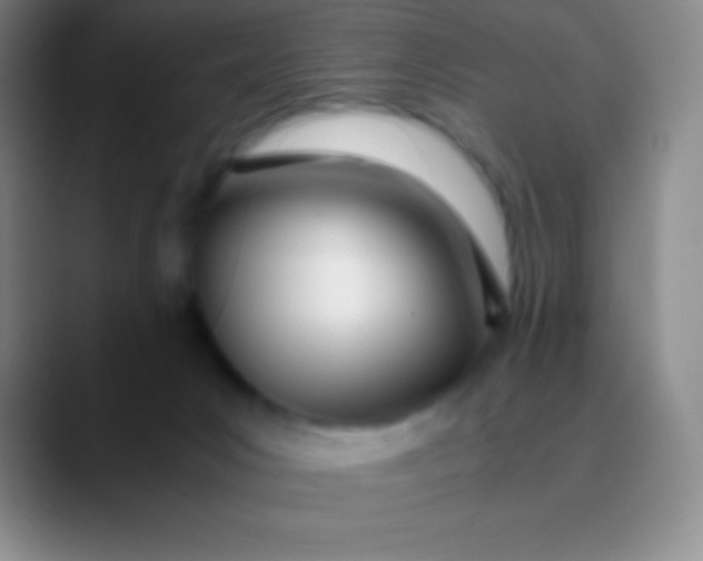 X0000089890031200707192022