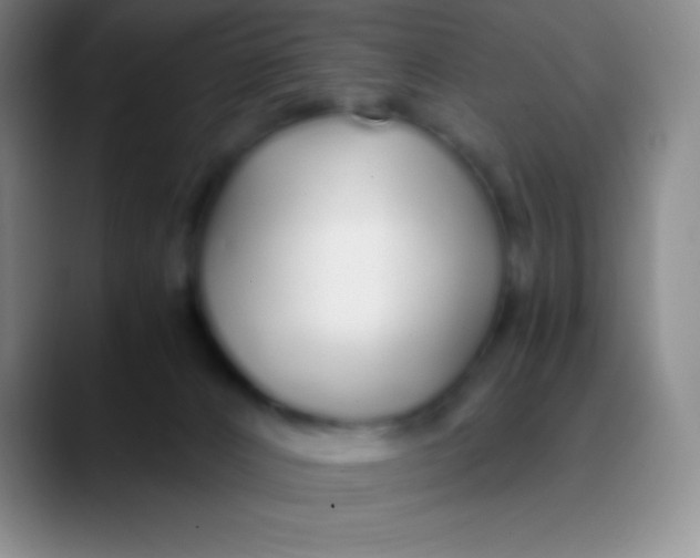 X0000089890032200707192022