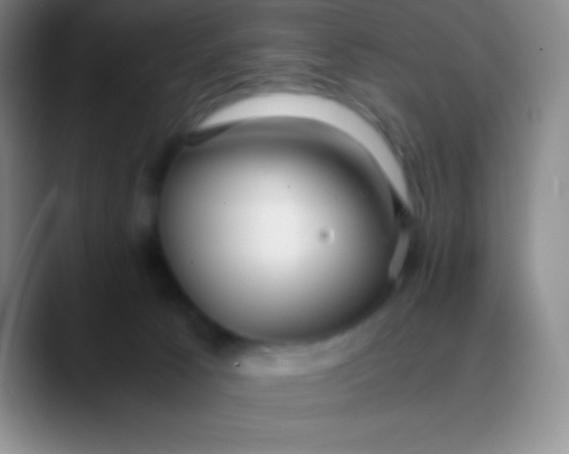 X0000089890033200707192022