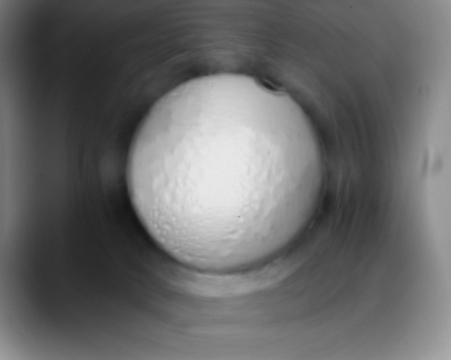 X0000089890034200707192022